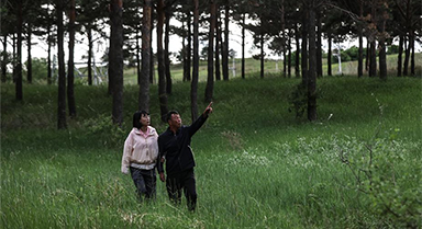 父女兩代人見(jiàn)證沙地披綠裝
